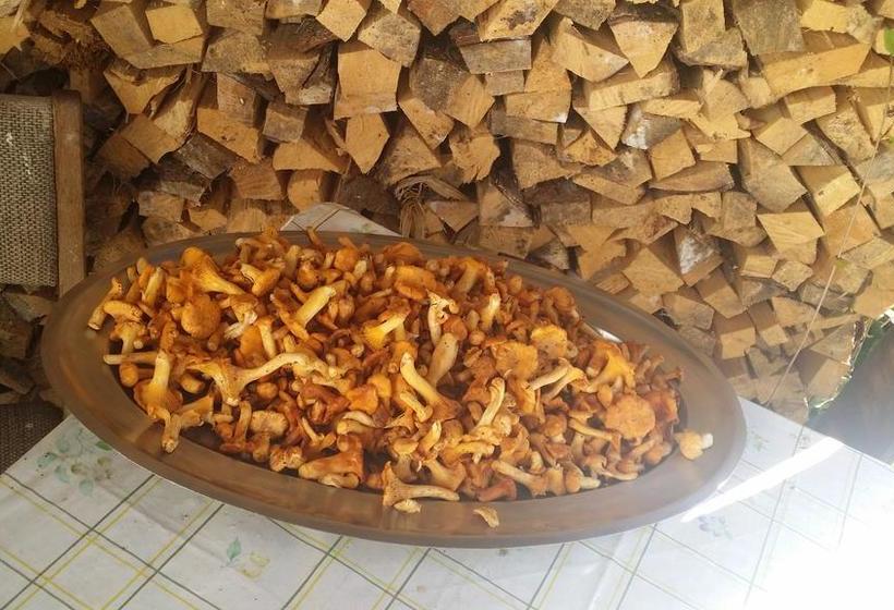 Hotel Nevada  | Campitello di Fassa | Trento | Italia 4