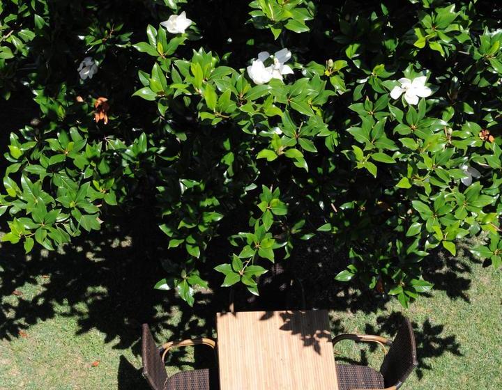 Hotel Albergo Valentina  | Peschiera del Garda | Verona | Italia 19