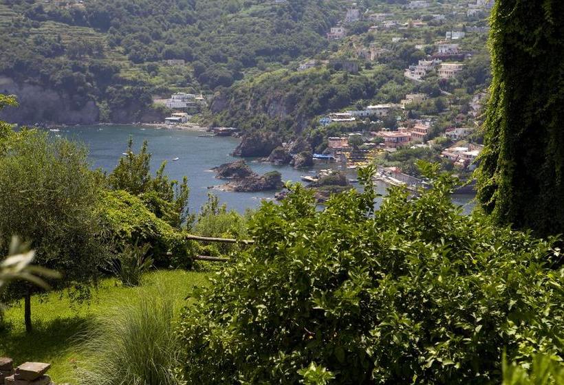 Hotel Albergo Il Monastero  | Ischia | Napoli | Italia 8