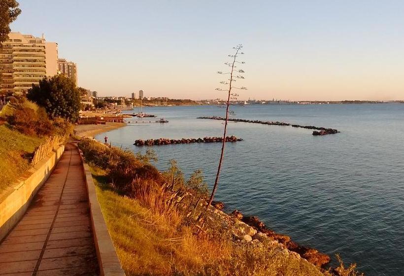 Bed and Breakfast Magnolia  | Taranto | Taranto | Italia 8