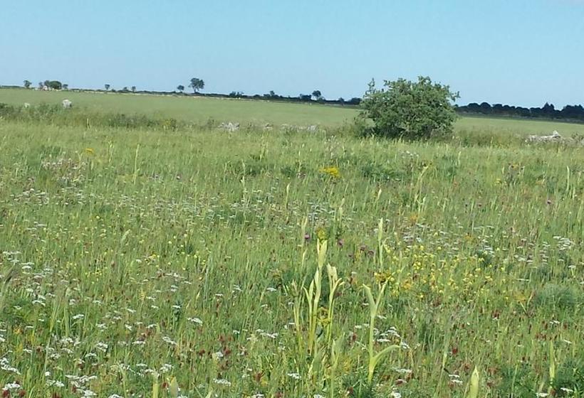 Porta Matera B&b  | Altamura | Bari | Italia 1