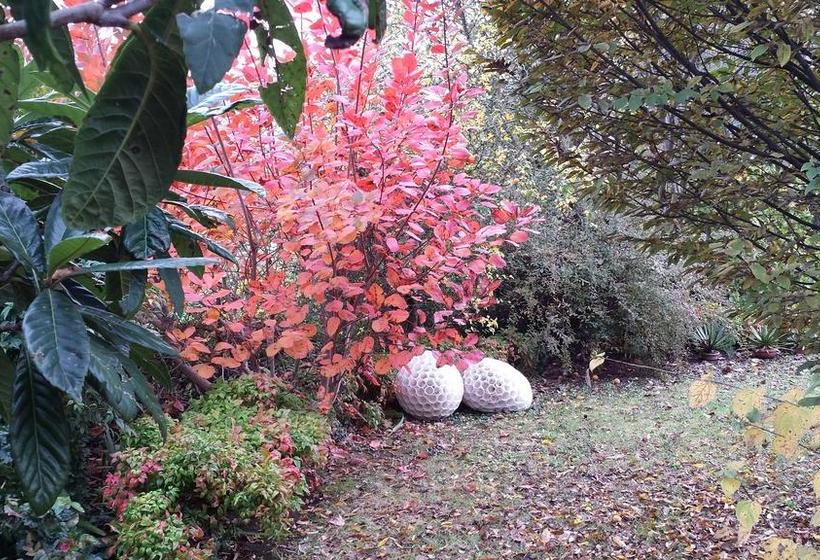 Bed and Breakfast Teapot House  | Perugia | Perugia | Italia 13