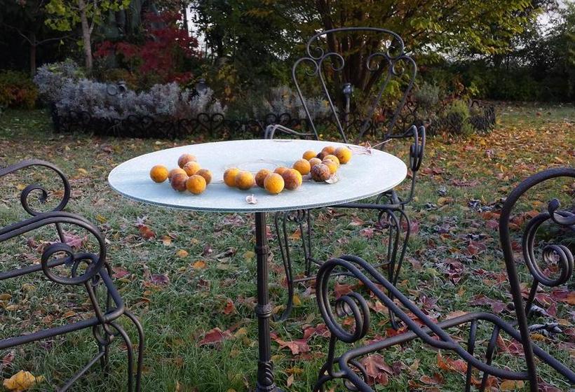 Bed and Breakfast Teapot House  | Perugia | Perugia | Italia 14