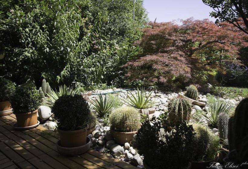 Bed and Breakfast Teapot House  | Perugia | Perugia | Italia 18