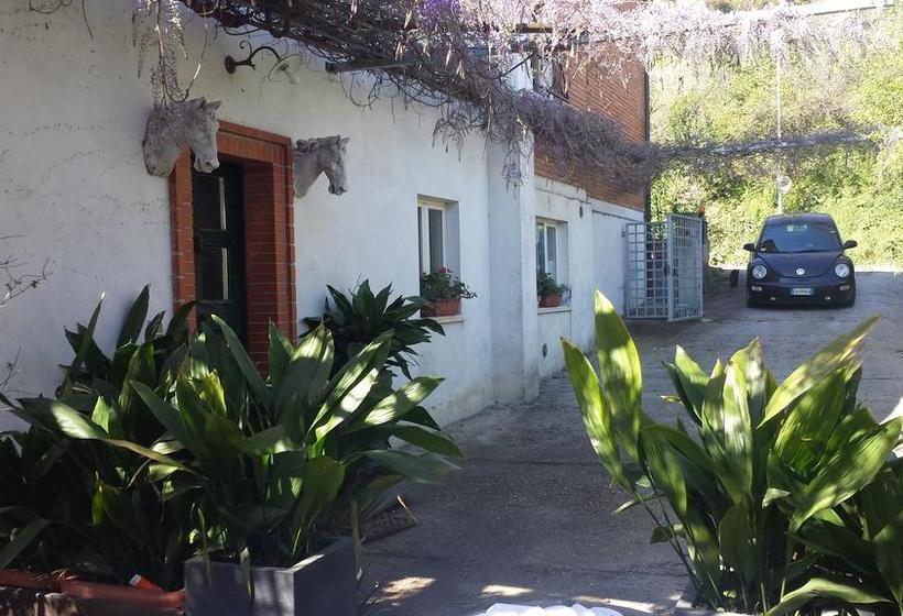 Bed and Breakfast Teapot House  | Perugia | Perugia | Italia 19