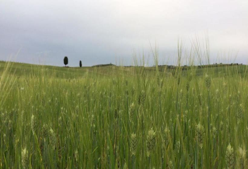 Cordella In Montalcino Wine Resort  | Montalcino | Siena | Italy 12