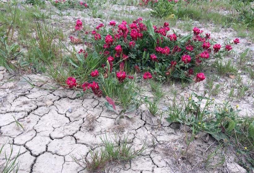 Cordella In Montalcino Wine Resort  | Montalcino | Siena | Italy 13