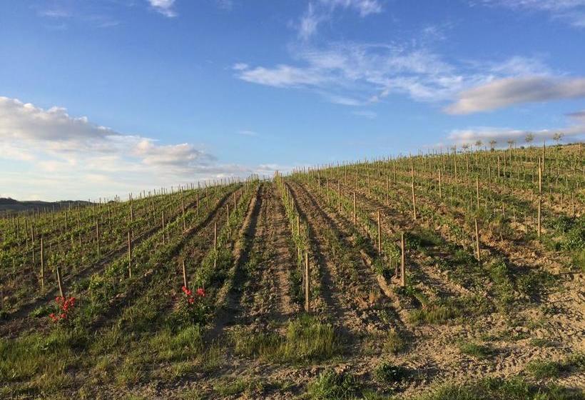 Cordella In Montalcino Wine Resort  | Montalcino | Siena | Italy 5