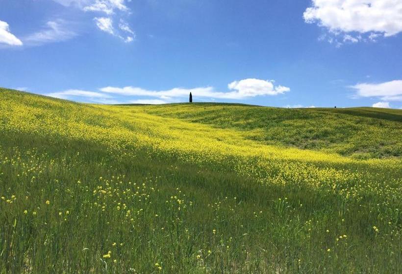 Cordella In Montalcino Wine Resort  | Montalcino | Siena | Italy 7