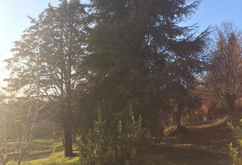 Hotel Lorena  | Arcidosso | Grosseto | Italia 10