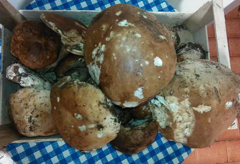 Hotel Lorena  | Arcidosso | Grosseto | Italia 11