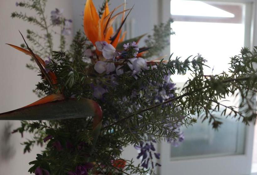 Bed and Breakfast Mare Dentro  | Crotone | Crotone | Italia 4