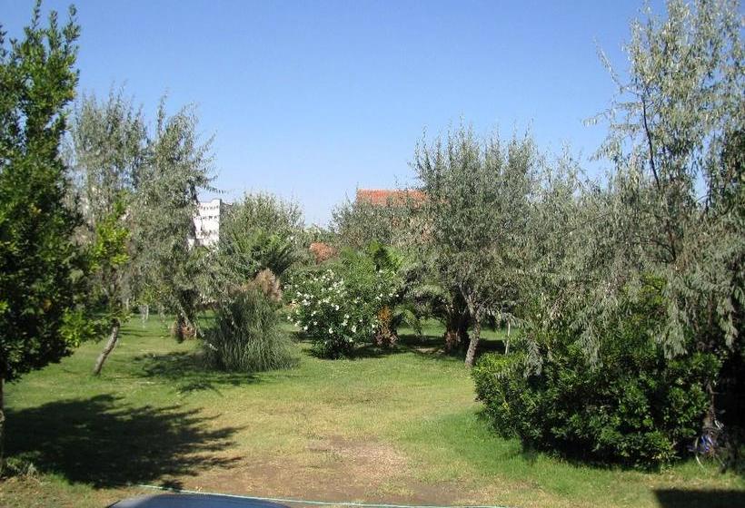 Hotel Pegaso Palace  | Tarquinia | Viterbo | Italien 17