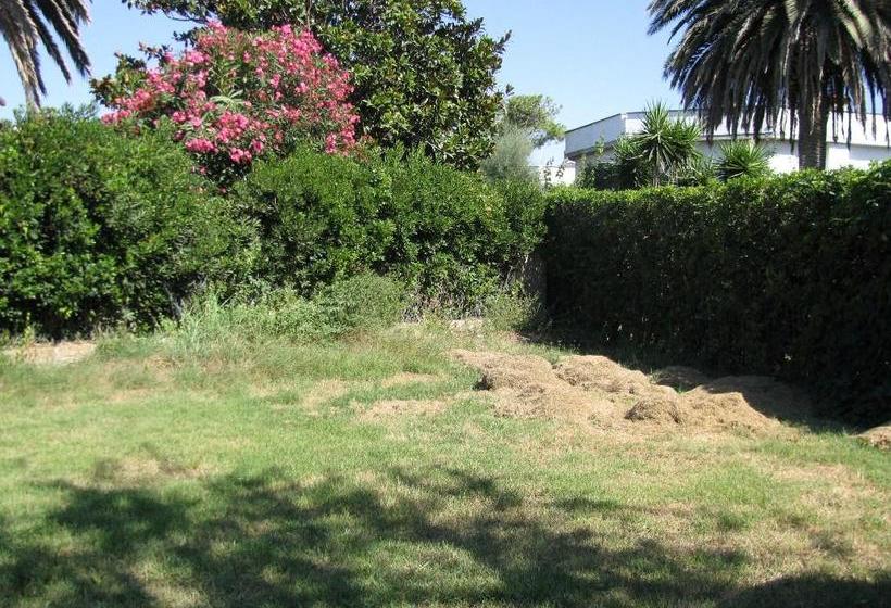 Hotel Pegaso Palace  | Tarquinia | Viterbo | Italien 18