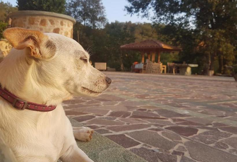 B&b Tre Querce  | Filadelfia | Vibo Valentia | Italia 4