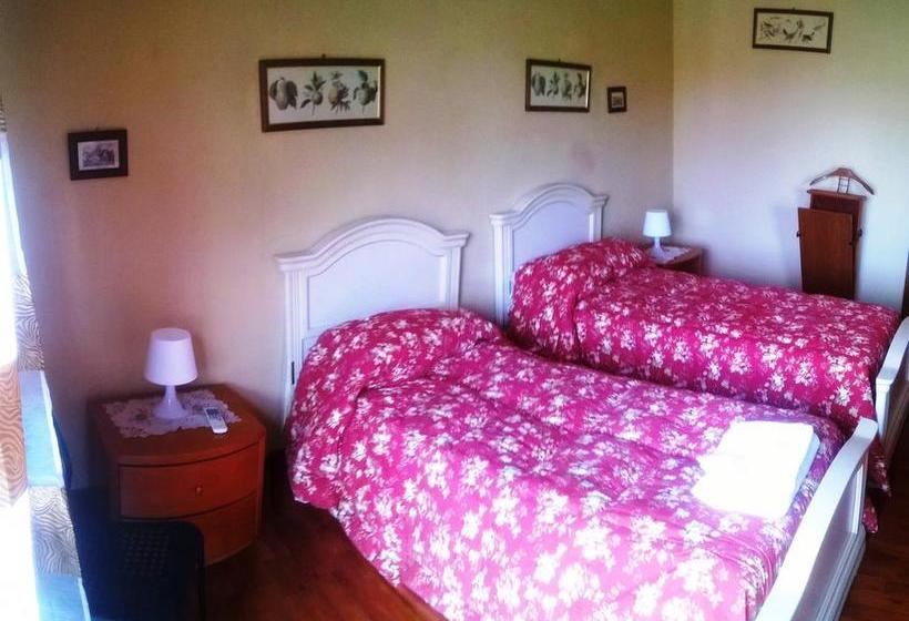 Movida Inn B&b  | Catania | Catania | Italia 17