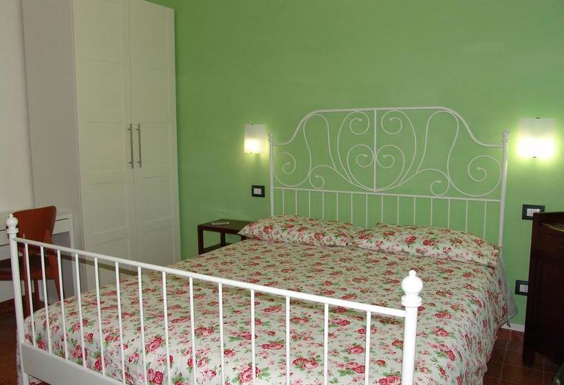 B&b Myosotis  | Pisa | Pisa | Italia 5