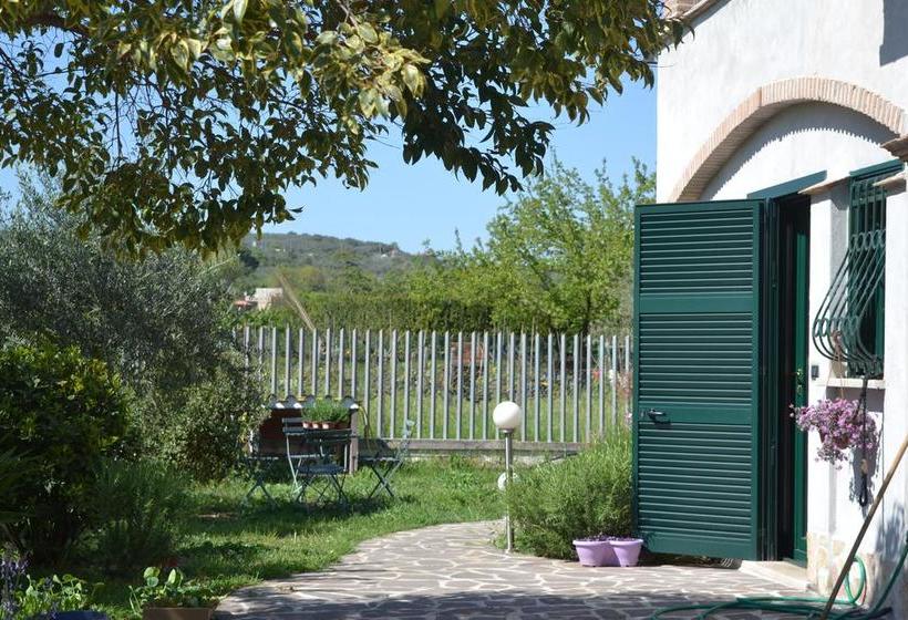 Bed and Breakfast Next Stop 28  | Tivoli | Roma | Italia 2