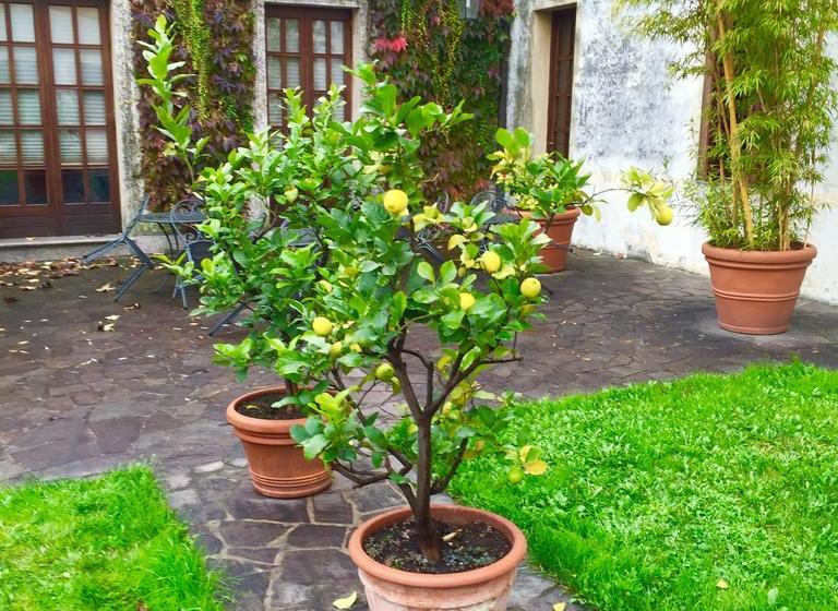 Hotel Villa Soranzo Conestabile  | Scorzé | Venezia | Italia 16