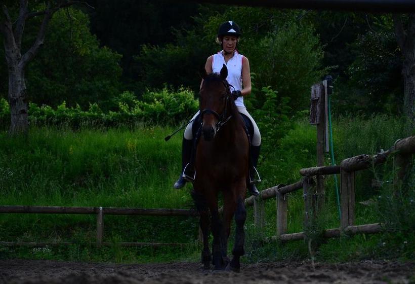 Bed and Breakfast Agriturismo Locanda Del Pesco  | Collebeato | Brescia | Italia 15