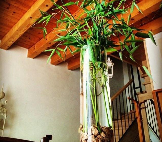 Bed And Breakfast Villa Franca  | Villafranca di Verona | Verona | Italia 13