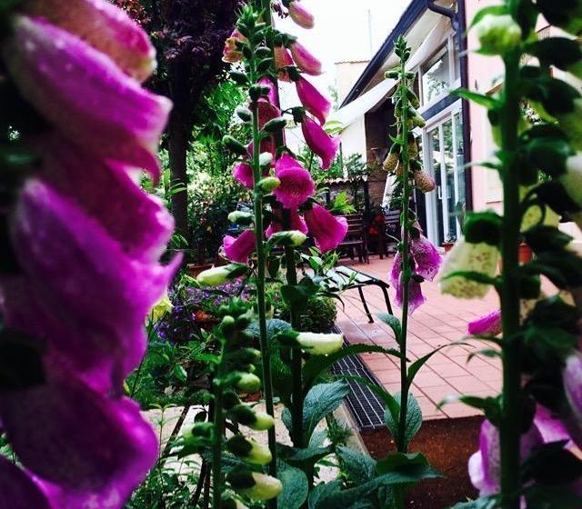 Bed And Breakfast Villa Franca  | Villafranca di Verona | Verona | Italia 17