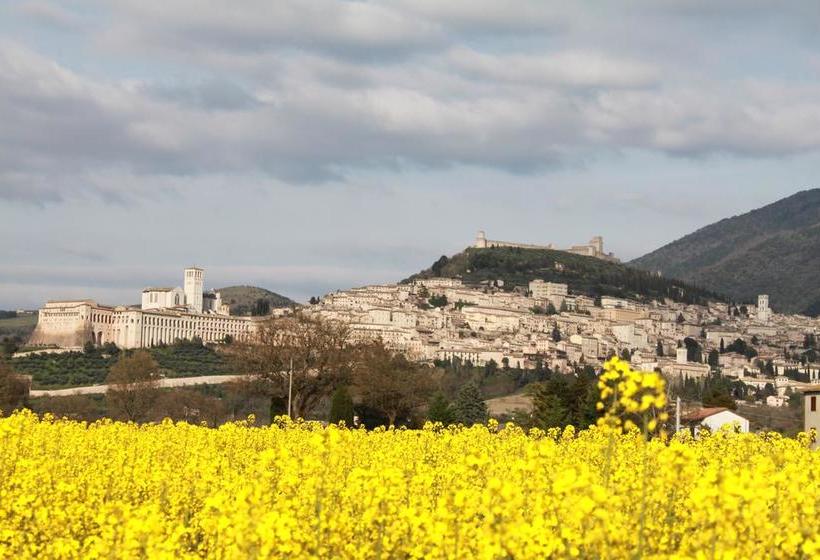 Bed and Breakfast Collis Paradisi  | Santa Maria Degli Angeli | Perugia | Italia