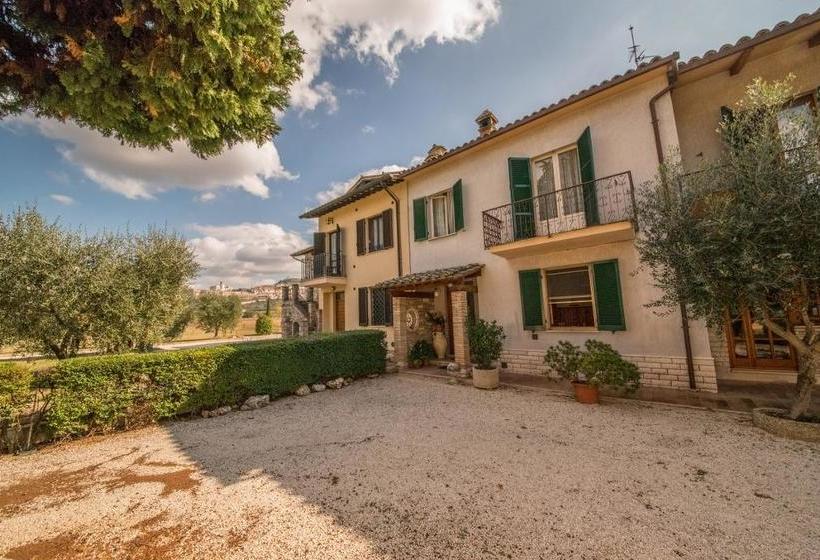 Bed and Breakfast Collis Paradisi  | Santa Maria Degli Angeli | Perugia | Italia 1