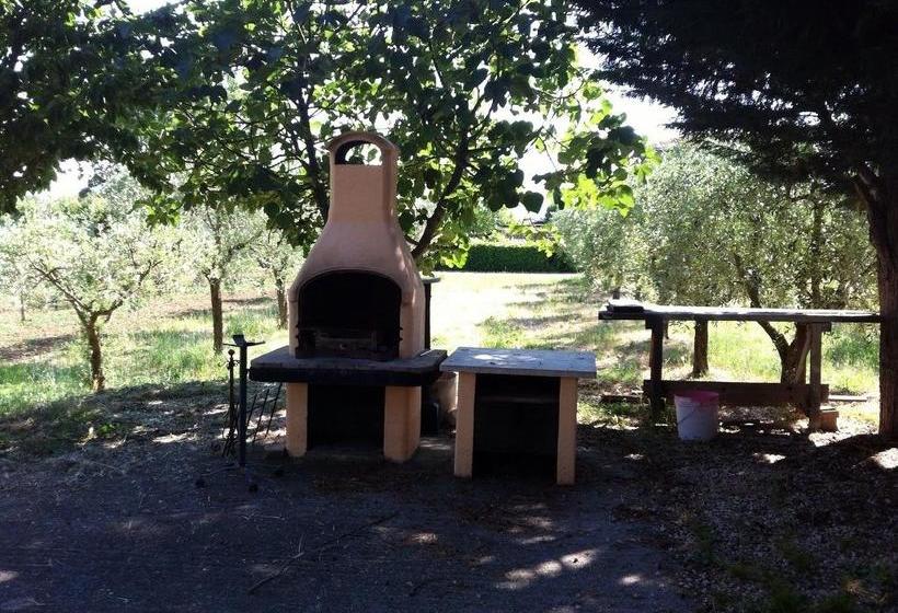 Bed and Breakfast Collis Paradisi  | Santa Maria Degli Angeli | Perugia | Italia 15