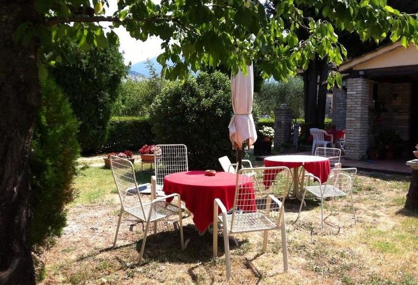 Bed and Breakfast Collis Paradisi  | Santa Maria Degli Angeli | Perugia | Italia 16