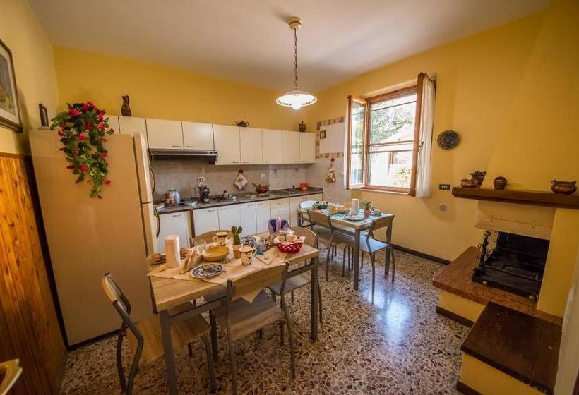 Bed and Breakfast Collis Paradisi  | Santa Maria Degli Angeli | Perugia | Italia 19