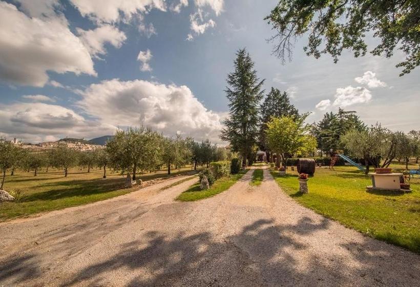 Bed and Breakfast Collis Paradisi  | Santa Maria Degli Angeli | Perugia | Italia 2