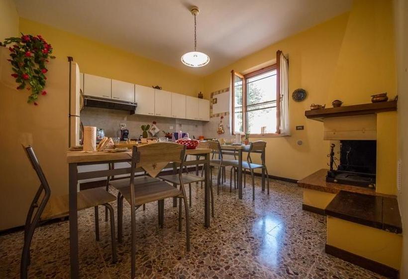 Bed and Breakfast Collis Paradisi  | Santa Maria Degli Angeli | Perugia | Italia 20