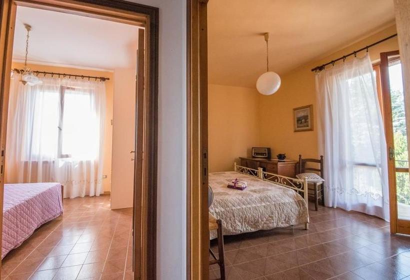 Bed and Breakfast Collis Paradisi  | Santa Maria Degli Angeli | Perugia | Italia 4