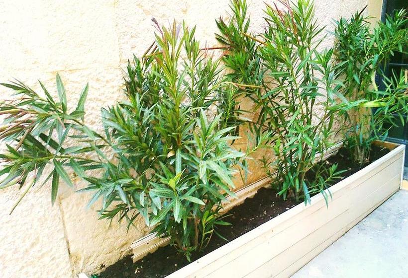 Bed and Breakfast Gli Oleandri  | Altamura | Bari | Italia 10