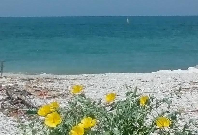 Matrioska B&b  | Fano | Pesaro e Urbino | Italia 1