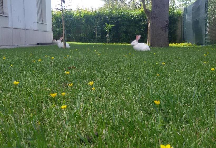 B&b Il Ponte Di Legno  | Fermo | Fermo | Italia 13