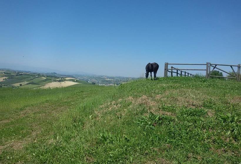 B&b Il Ponte Di Legno  | Fermo | Fermo | Italia 9