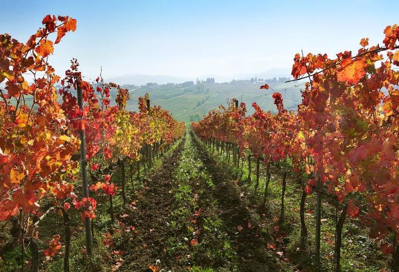 B&b Cuor Di Lavanda  | Cannara | Perugia | Italia 16