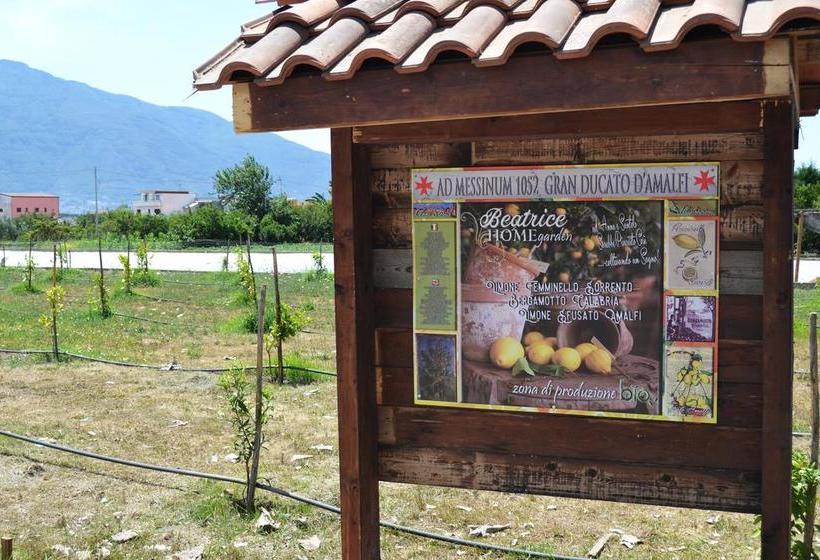 Bed and Breakfast Beatrice Home  | Pompei | Napoli | Italia 4