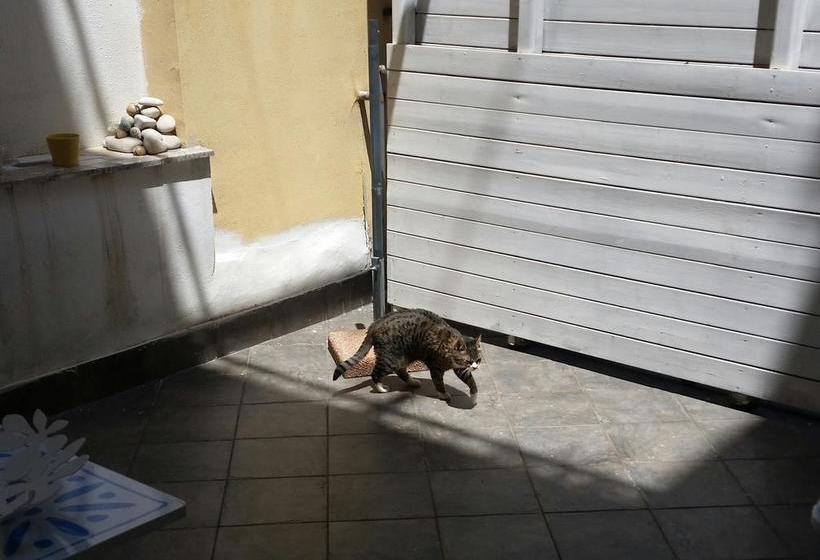 B&b A Vanidduzza  | Ragusa | Ragusa | Italia 7