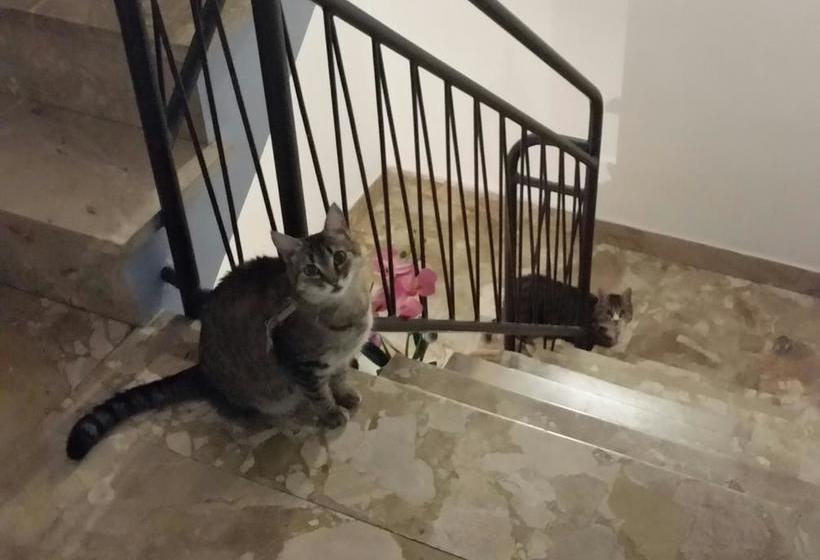 B&b A Vanidduzza  | Ragusa | Ragusa | Italia 8