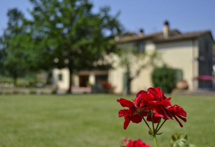 B&b Ad Occhi Chiusi  | Pistoia | Pistoia | Italia 18