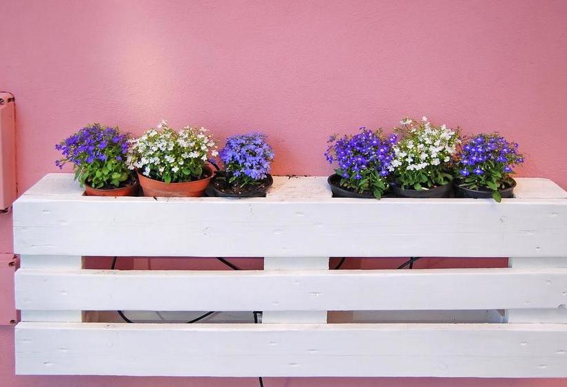 B&b Iulia Augusta  | Albenga | Savona | Italia 18