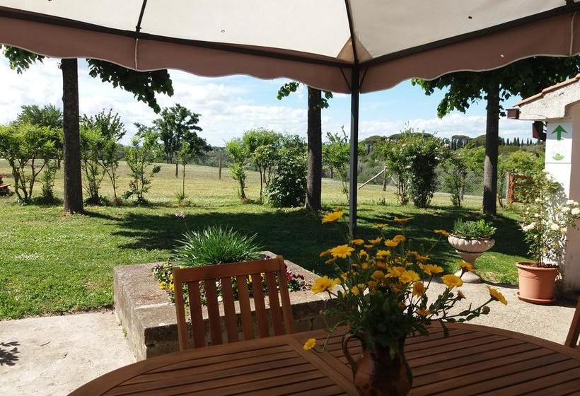 La Fattoria Barbini B&b  | Viterbo | Viterbo | Italia 1