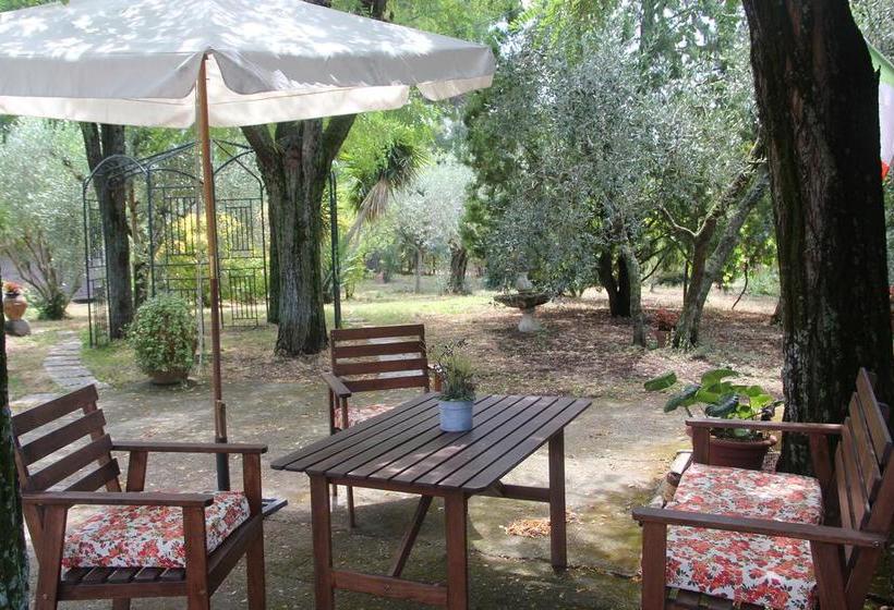 La Fattoria Barbini B&b  | Viterbo | Viterbo | Italia 10