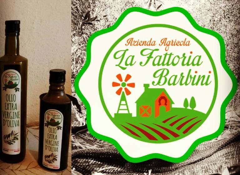 La Fattoria Barbini B&b  | Viterbo | Viterbo | Italia 14