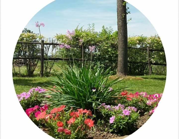 La Fattoria Barbini B&b  | Viterbo | Viterbo | Italia 15