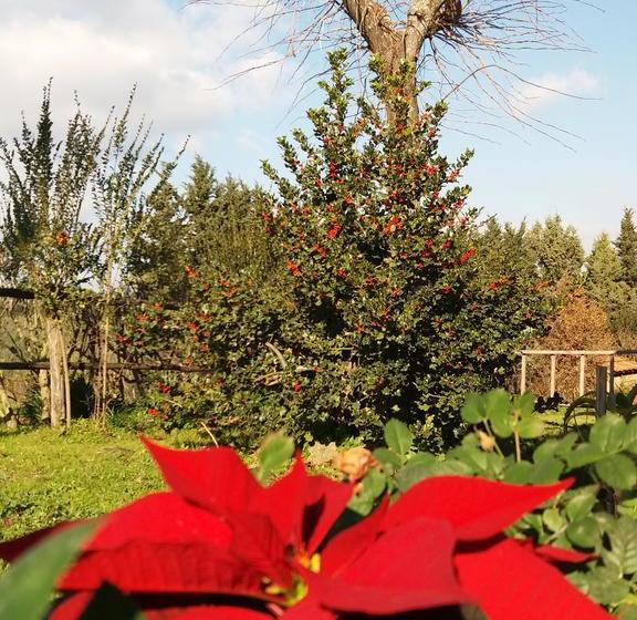 La Fattoria Barbini B&b  | Viterbo | Viterbo | Italia 16