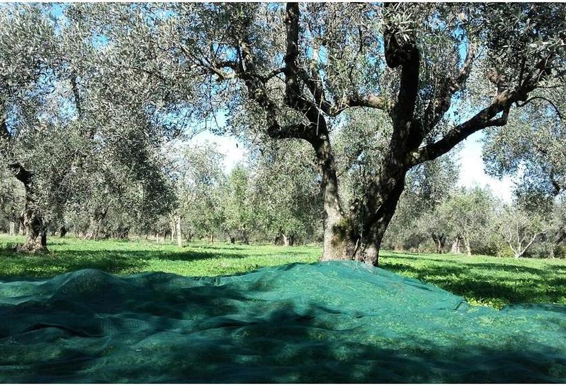 La Fattoria Barbini B&b  | Viterbo | Viterbo | Italia 5